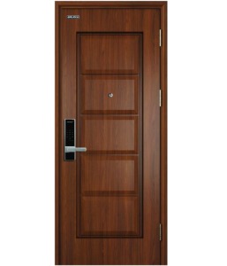 Mẫu cửa thép vân gỗ Galaxy 1 cánh GLD-126