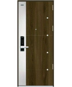 Mẫu cửa thép vân gỗ Galaxy 1 cánh GLX-STEEL-954