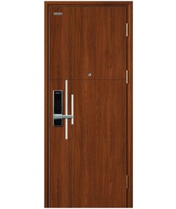 Mẫu cửa thép vân gỗ Galaxy 1 cánh GLX-STEEL-509